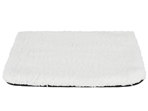 guinea pig accesories