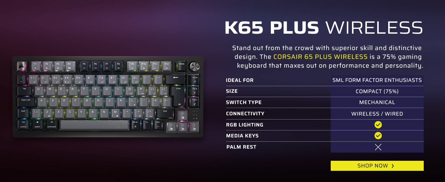 Corsair K70 PRO TKL Black