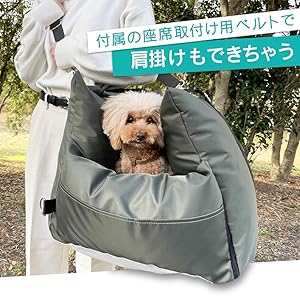 Amazon.co.jp: シンセーインターナショナル ドライブソファ