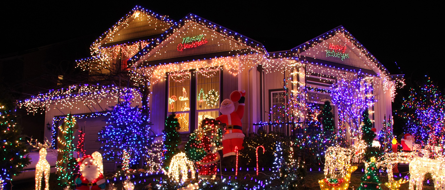 Haldane C9 Christmas Light Clips, Extra Strong