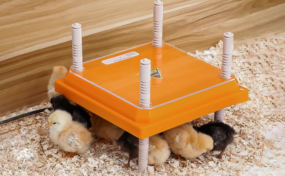 DDSNTY Brooder Heater for Chicks 12” x 12” for 20 Chicks