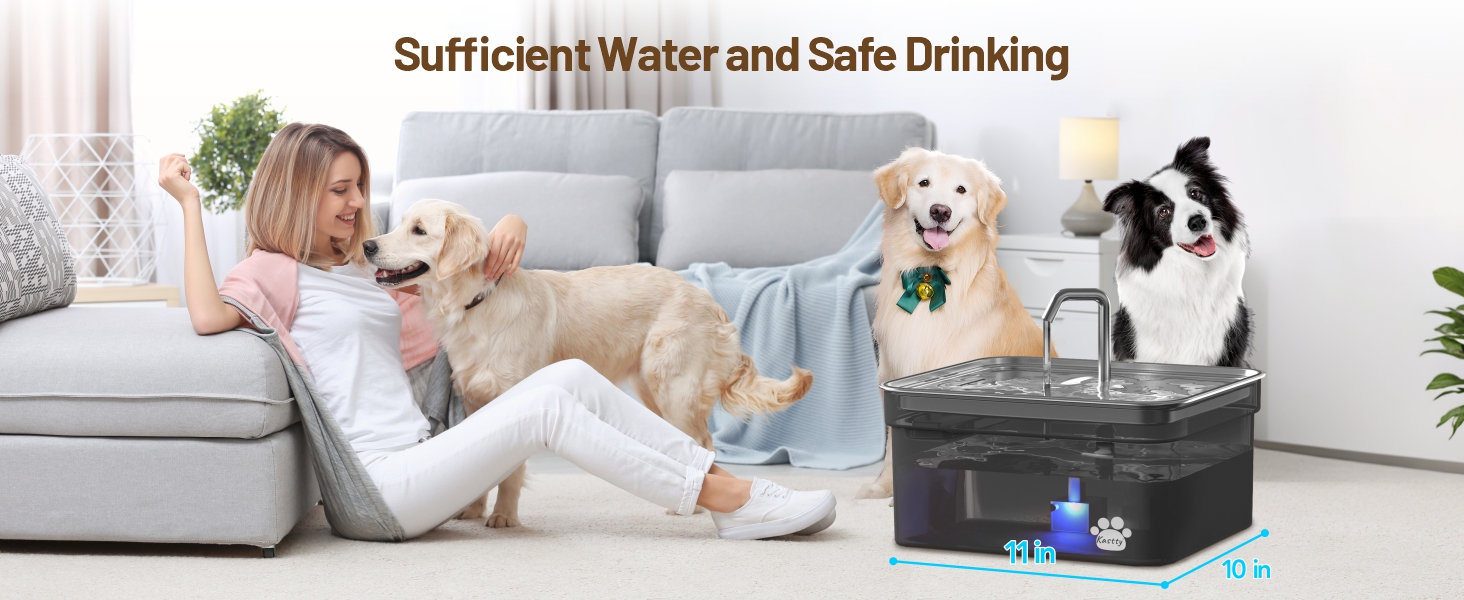pet fountain