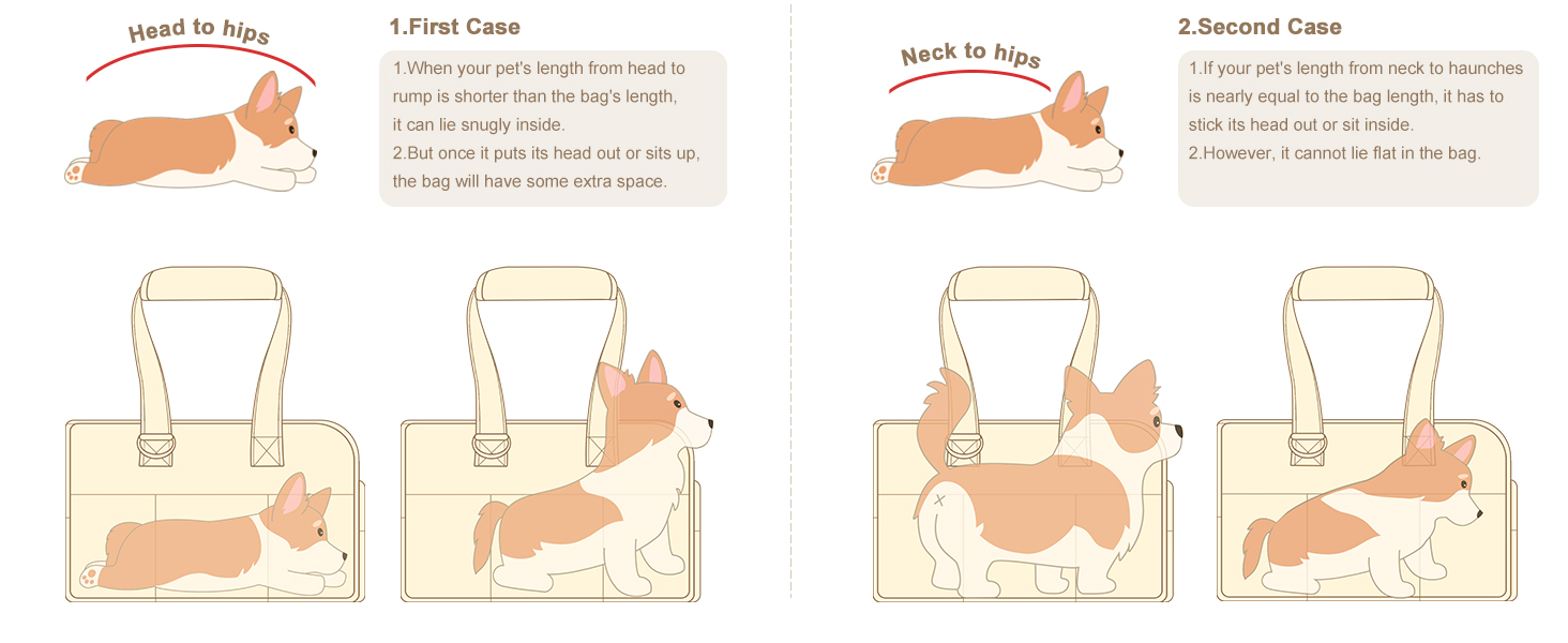 pet airline carrier airline approved