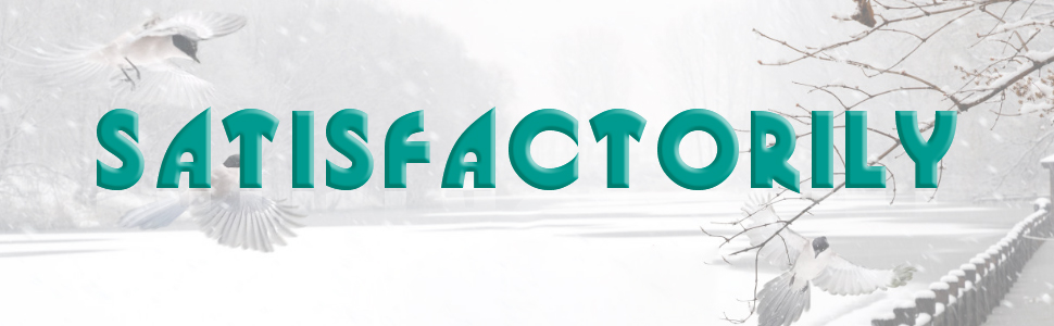 Bain d'oiseaux chauffés