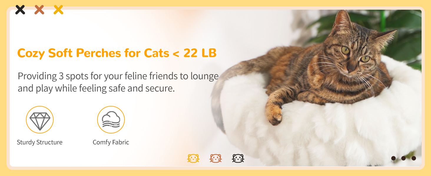 COZIWOW Modern Cat Tree Tower, Solid Natural Wood Cloud