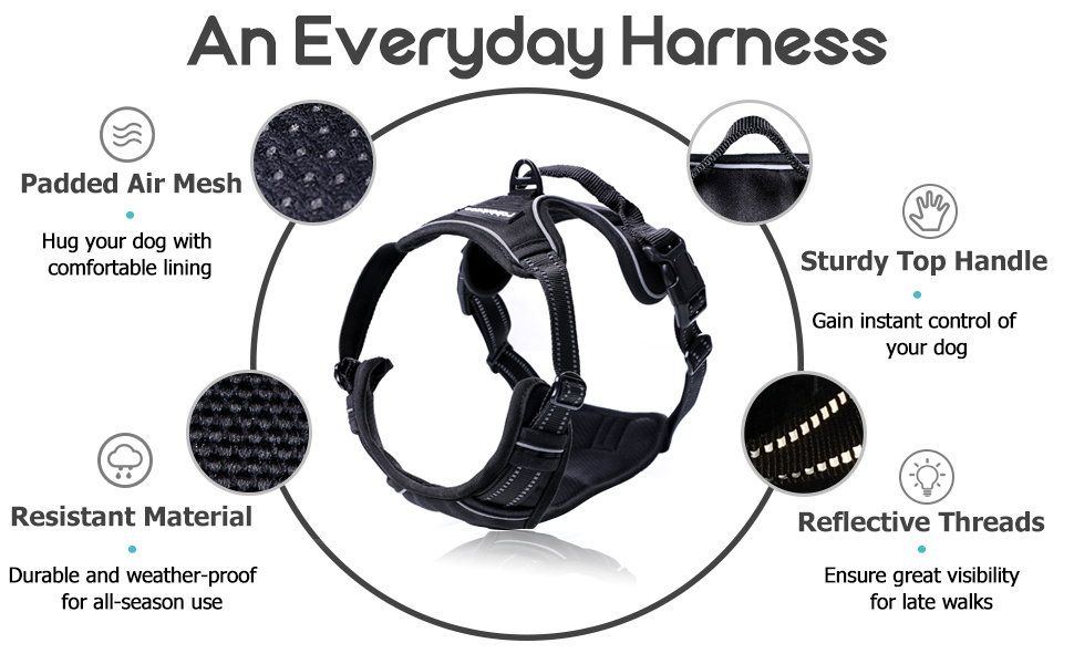 BRONTIX 3 in 1 Reflective Dog Harness Dog Body Belt Harness for