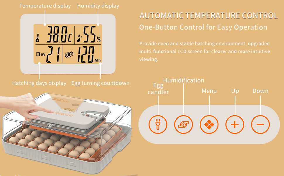 incubator for chicken eggs