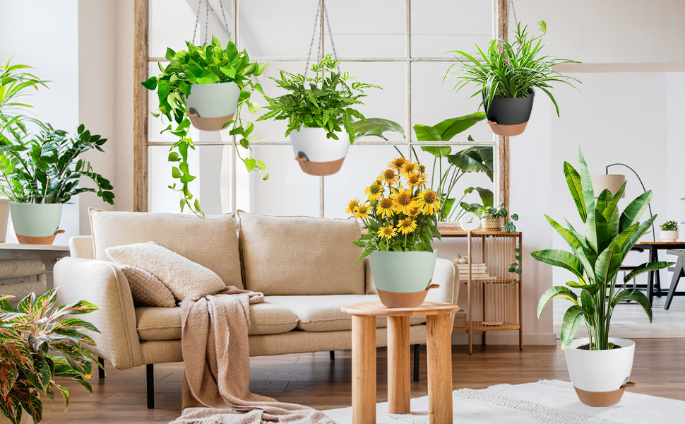 hanging planter