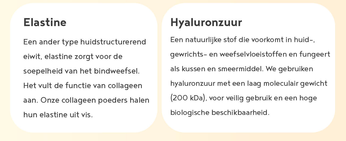 collagen powder