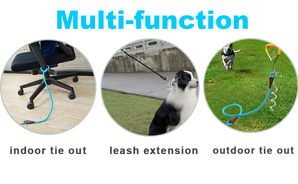 Mycicy No Handle Dog Leash 3FT / 6FT, Tether Training