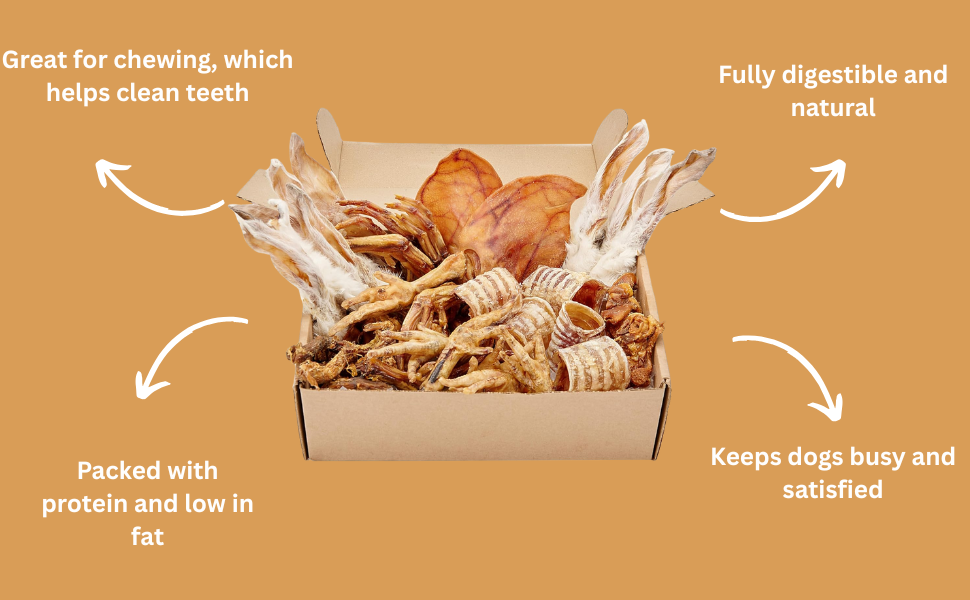Large manufacture image 2
