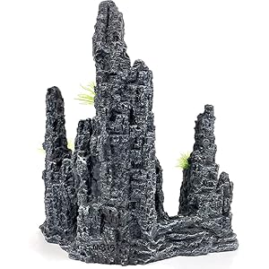 fish tank rocks large