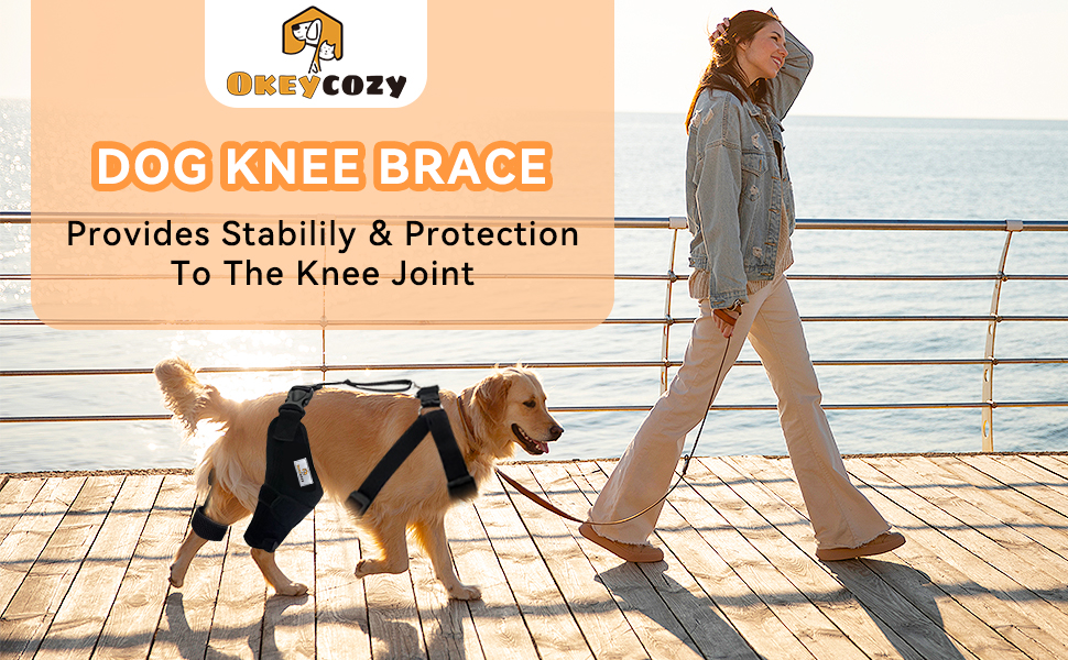 Okeycozy Dog Knee Brace with Neck Strap, Dog ACL Brace
