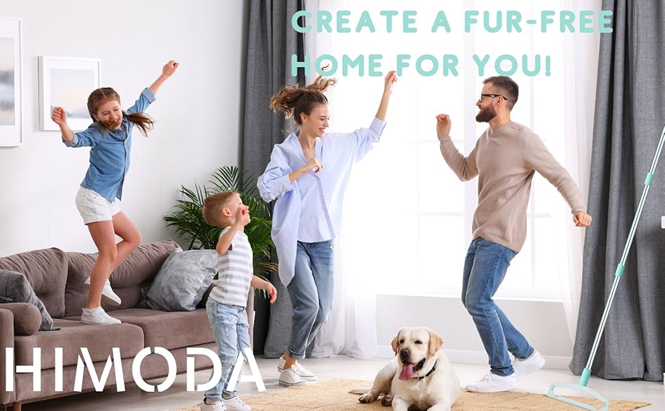 carpet rake for pet hair removal