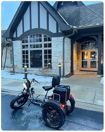 Meetone electric trike