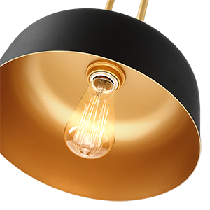 Black and Gold Metal Dome Shade
