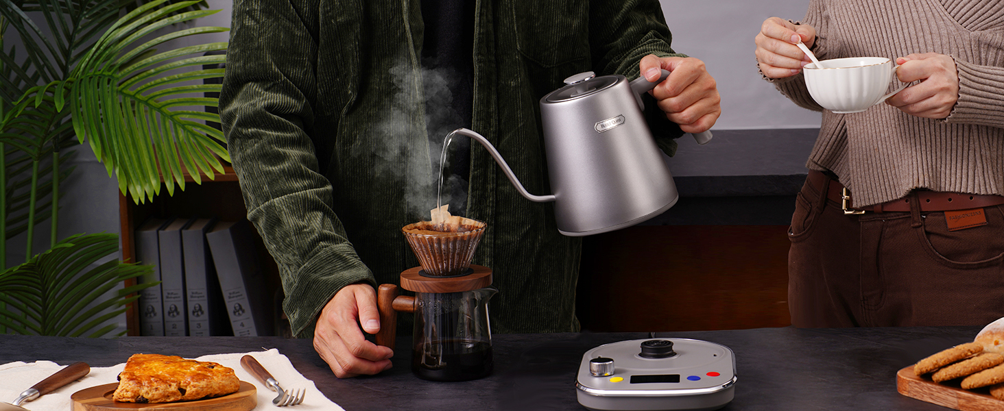 Hazel Quinn Gooseneck Electric Kettle 0.8L/27oz Goose Neck Kettle for