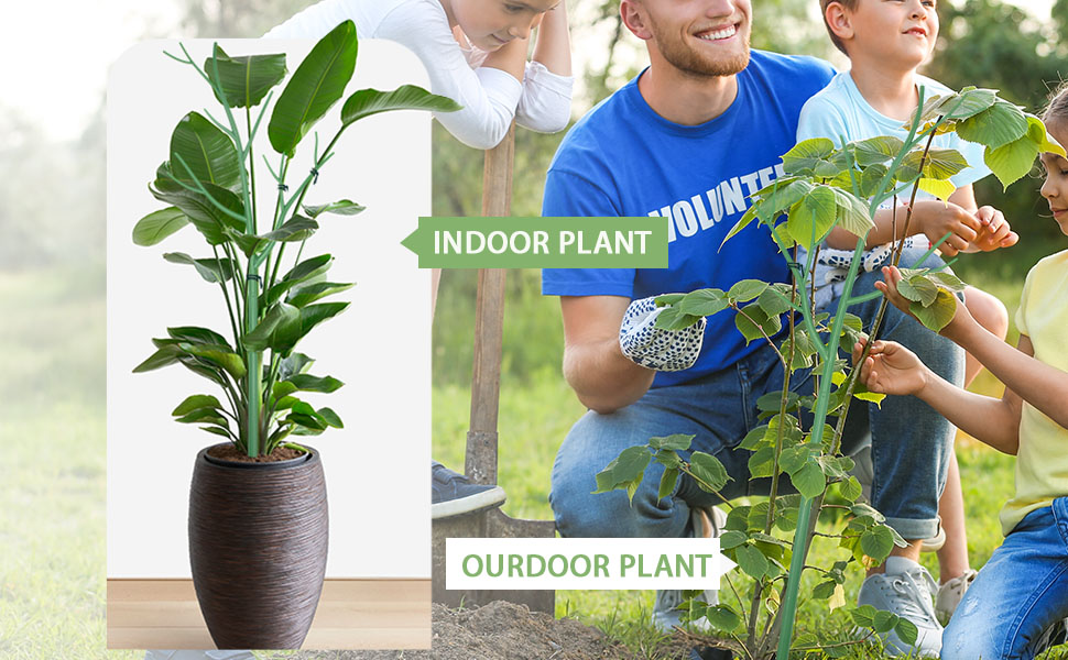 PLANT STAKES
