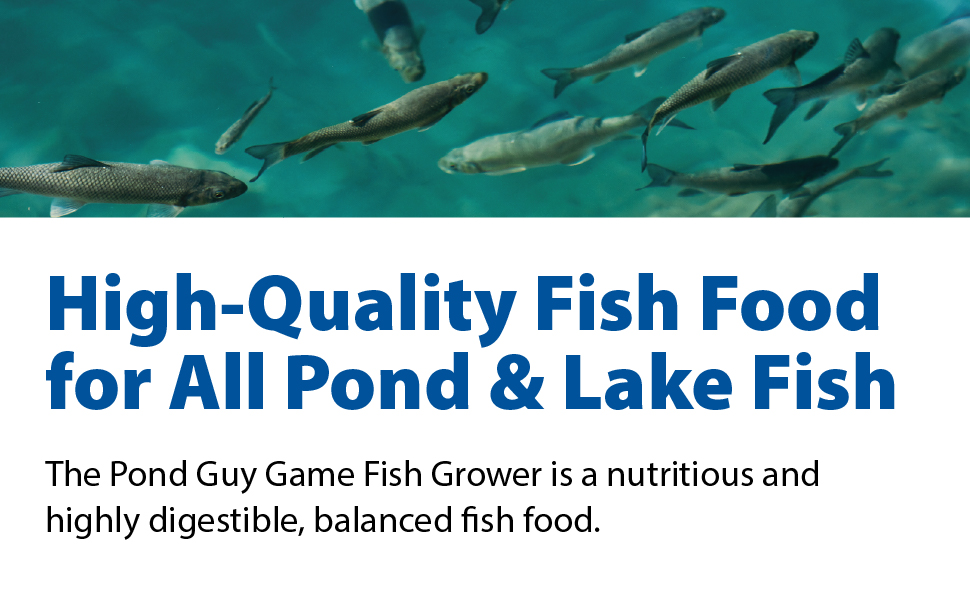 Spring and fall fish food top banner