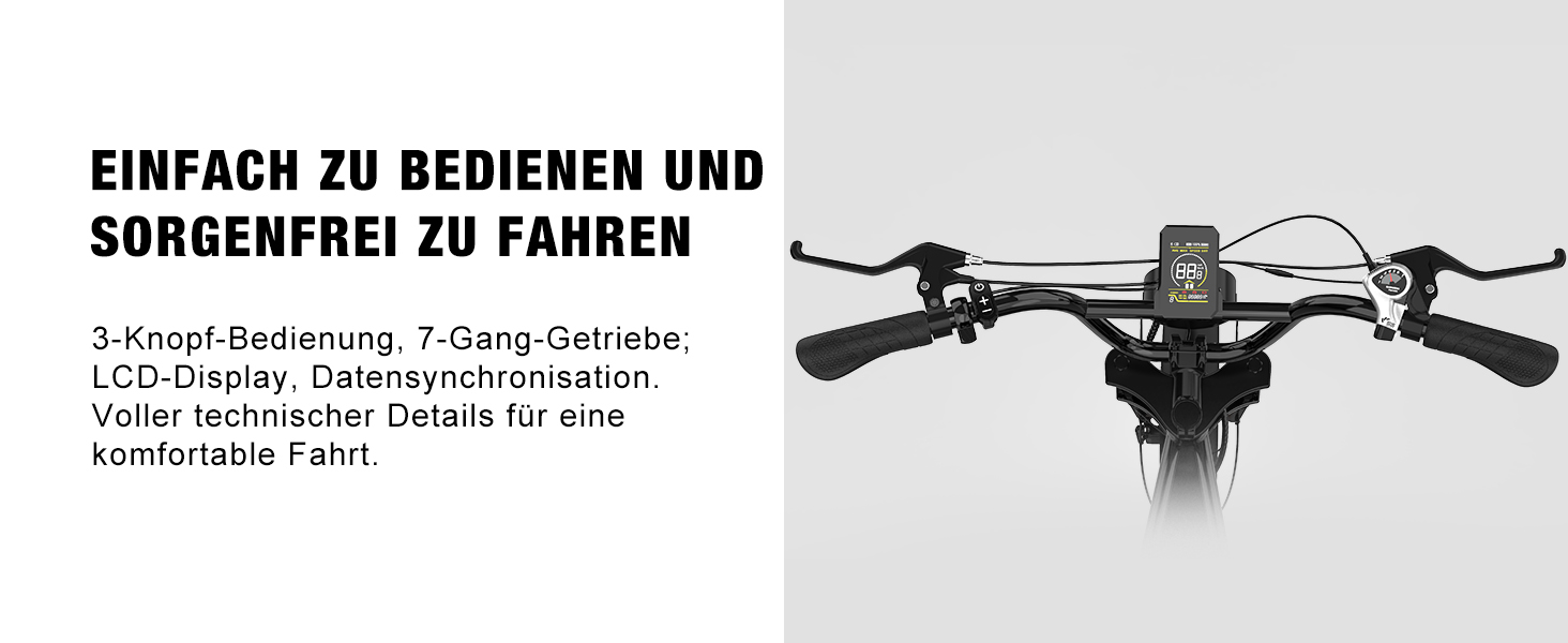 e bike