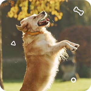 Supports Healthy Cartilage