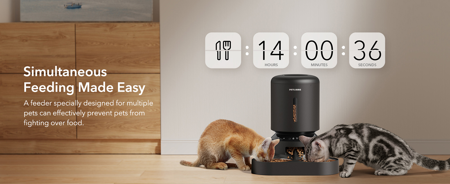 Comedero automático para 2 gatos