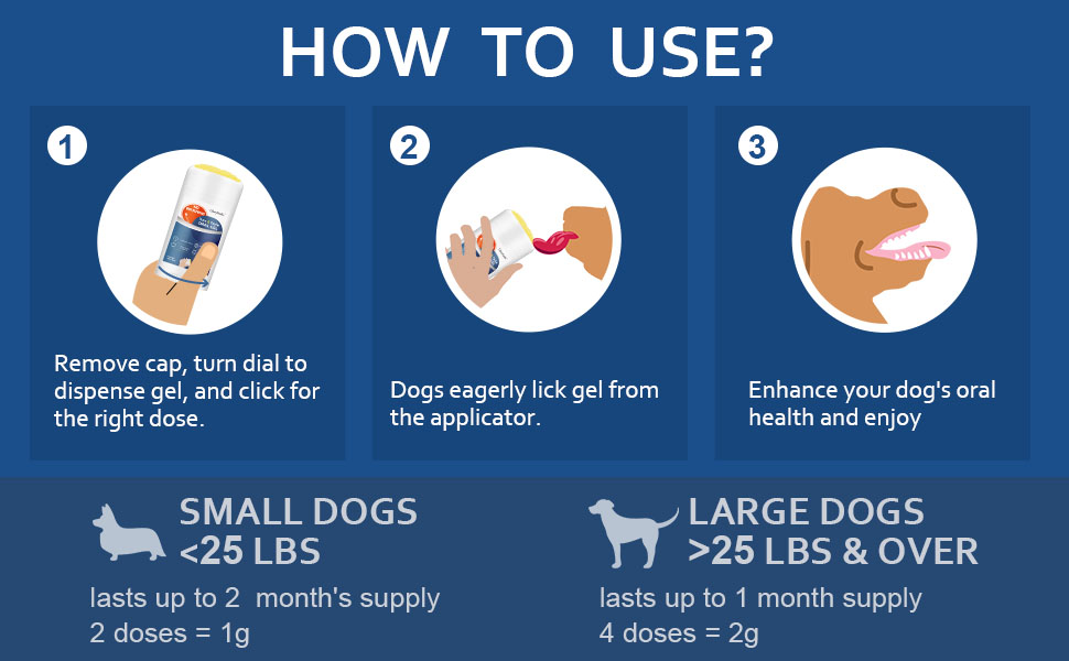 dog toothpaste and brush