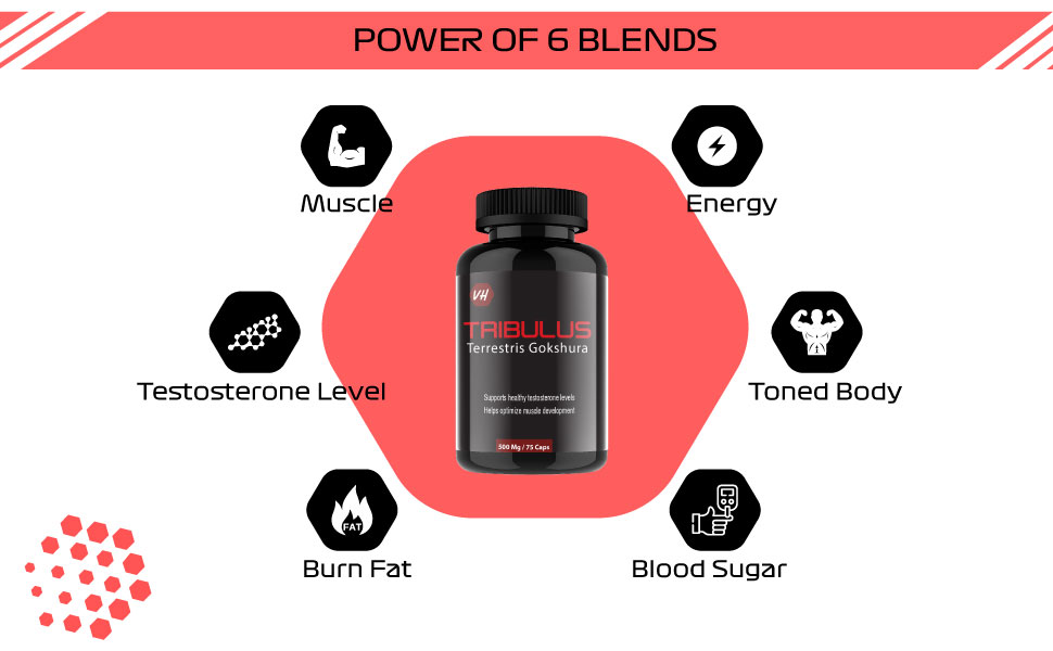 Vitaminhaat Tribulus Terrestris Gokshura, Saponins 50 Helps Muscles Development Testo