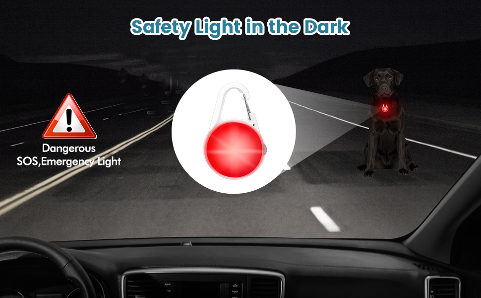 Safety light for dark conditions. Red glowing pendant on dog collar, illuminated warning triangle, and dashboard view of nighttime road.