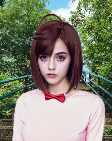 Amazon.com: FILMIA Momo Ayase Cosplay Wig Seiko Ayase