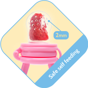 Silicone Baby Fresh Fruit and Food Feeder, Pacifier
