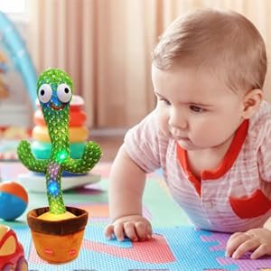 Child cactus