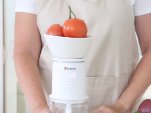 Euro Cuisine chopper