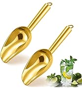 Herogo 3oz Mini ice Scoop Set of 2, Small Stainless Steel Scooper for Candy/Flour/Bean/Pet Food/ ...