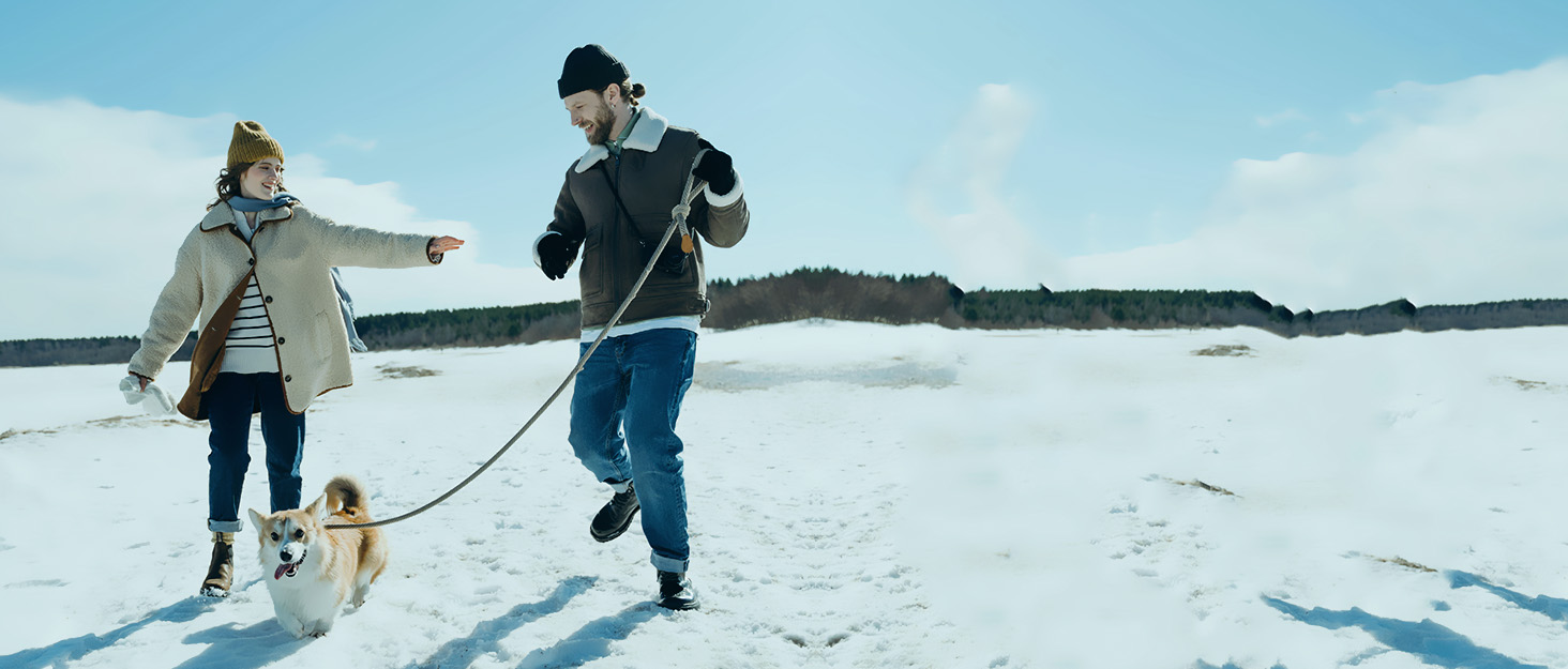 gimbal stabilizer for iphone