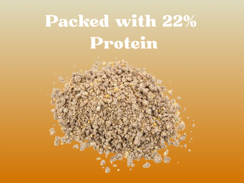 Large manufacture image 2