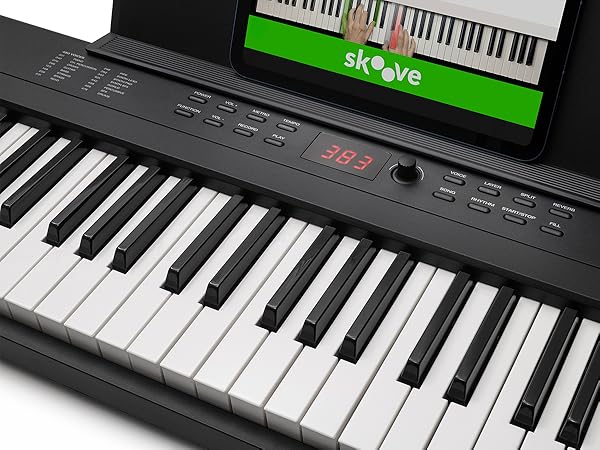 Alesis 電子ピアノ 88鍵盤 フルサイズ鍵盤 初心者向け Amazon | Alesis 電子ピアノ 88鍵盤 初心者向け電子ピアノ