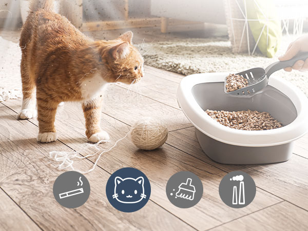 air purifiers