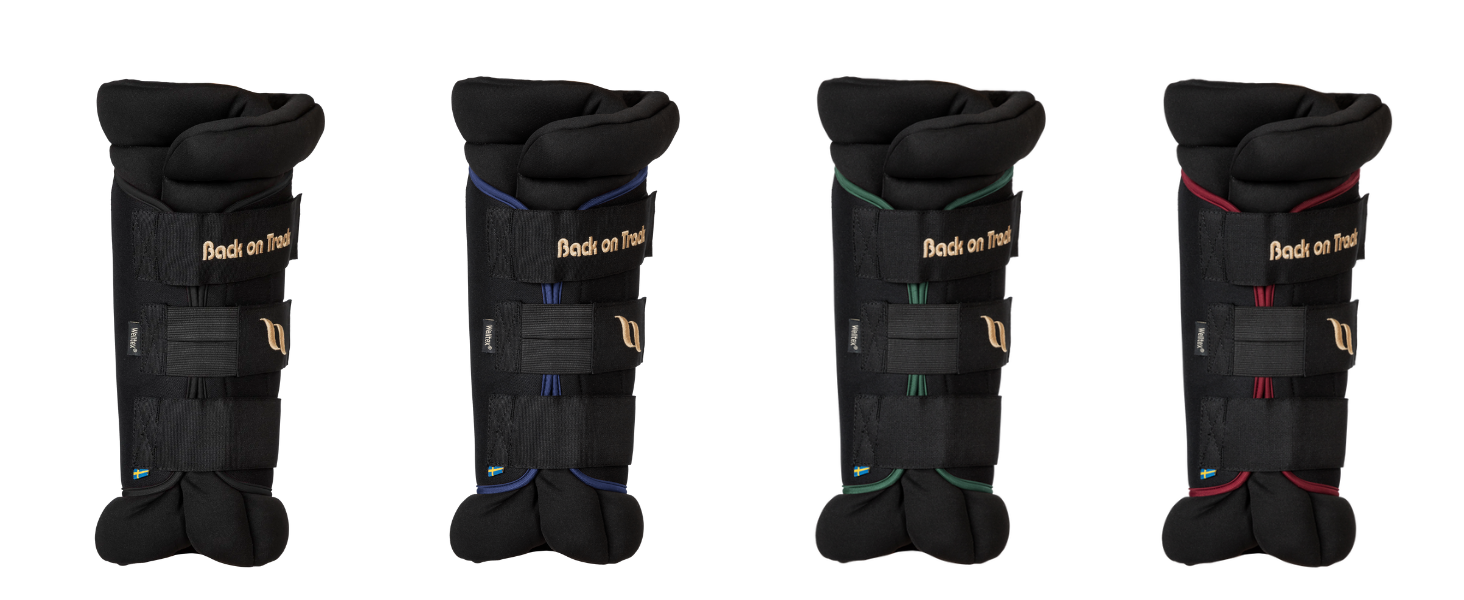 BOT 2022 Royal Padded Hock Boots 1 (Desktop)