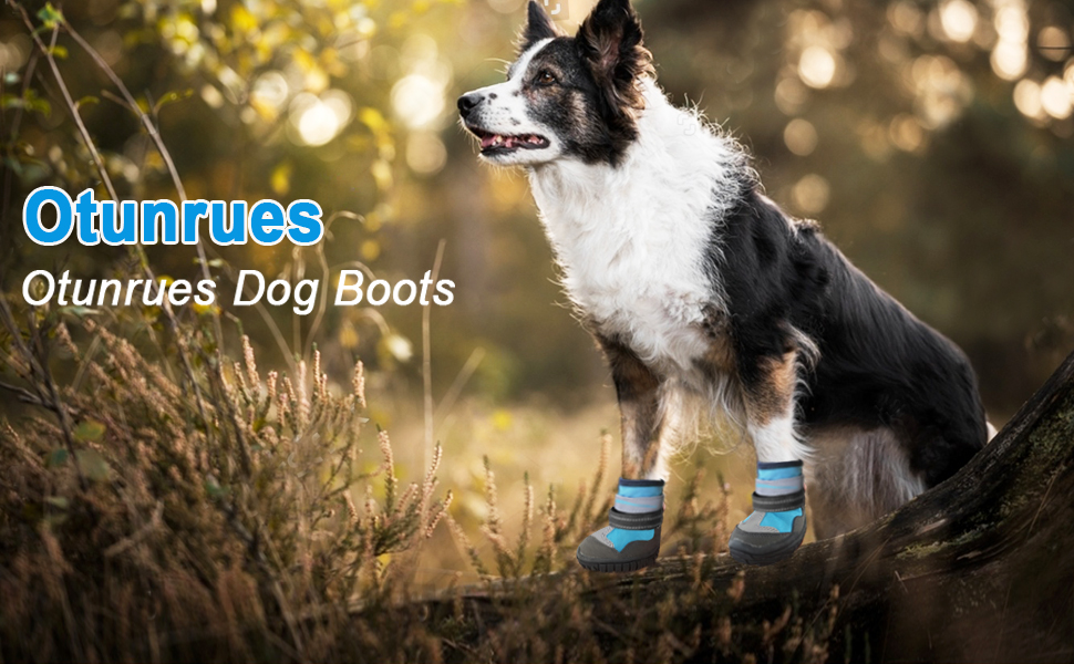 Dog Shoes, Otunrues Dog Shoes for Summer Hot Pavement