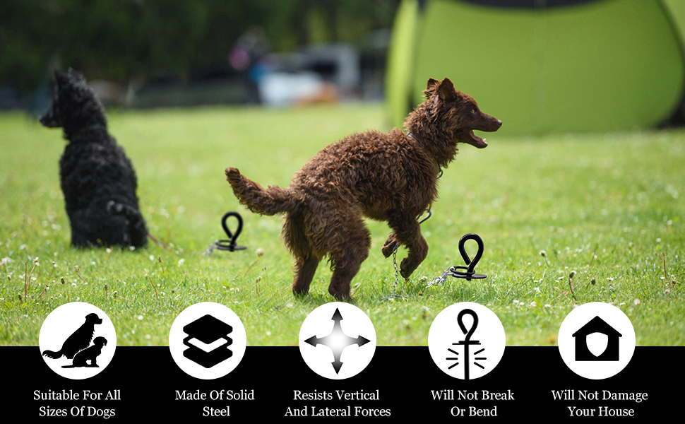 Dog Tie Out Stake for Large Dogs, Heavy Duty Dog Ground