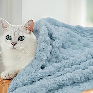 cat dog blanket