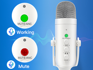 Wireless USB Microphone