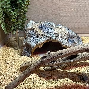 Terrarium Habitat Landscape Ornament