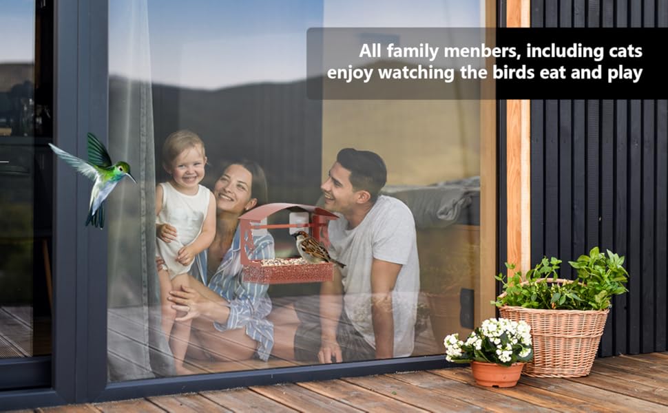 Window Bird Feeder, Tonitrui Metal Window Bird Feeder for