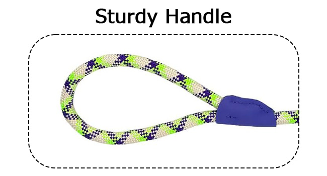 slip leads for dog