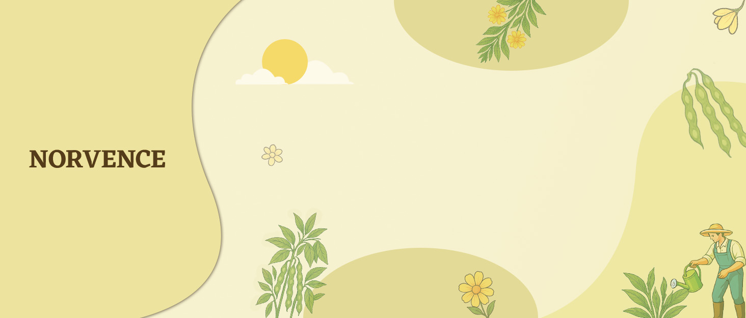 soy wax for candle making