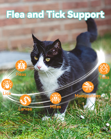 Oral Flea and Tick Support