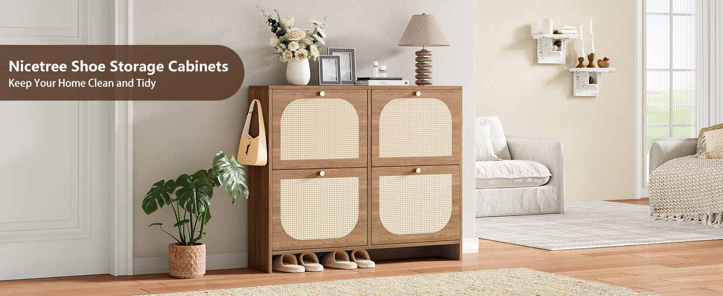 Shoe Cabinet Storage