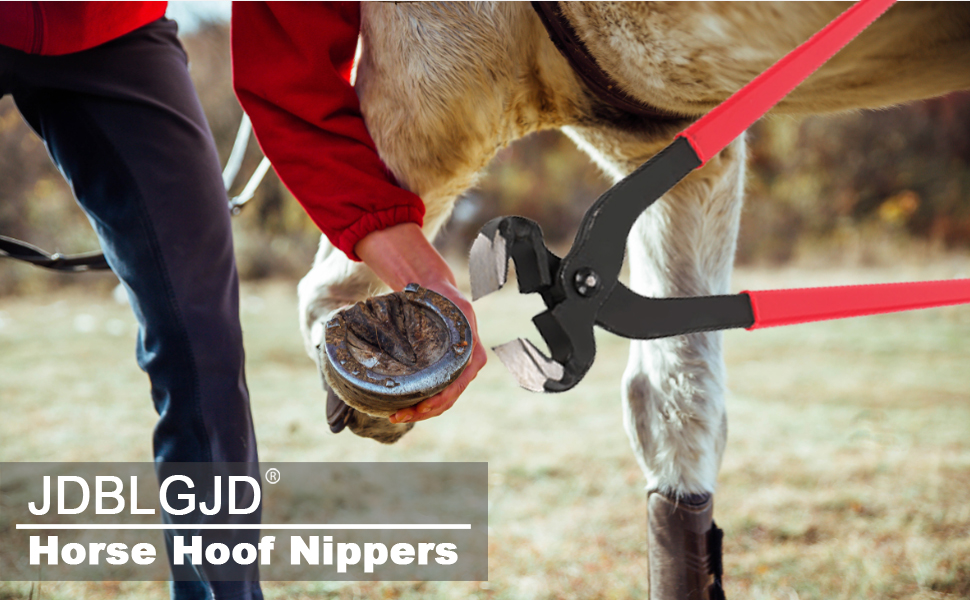 JDBLGJD Horse Farrier Tools,Professional Farrier Tool Kits